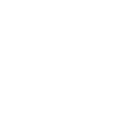 Transparent White Phone Icon