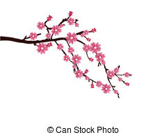 Vector Cherry Blossom Branches