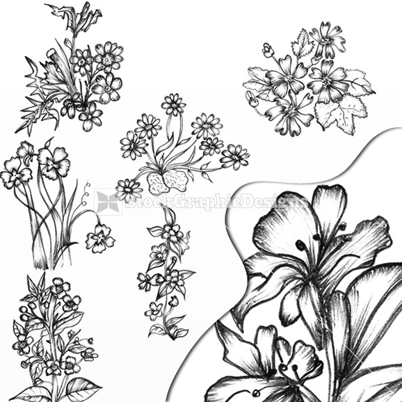 Vector Hand Drawn Flowers