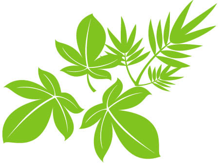 Vector Tree Leaves