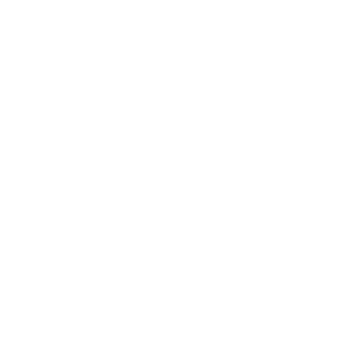 White Phone Icon