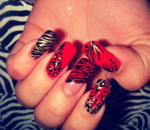 Zebra Cute Nail Designs Zebra Cute Nail Designs