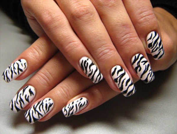 Zebra Nail Design Zebra Nail Design