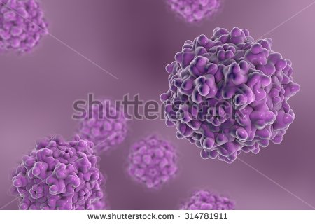 Adeno-Associated Virus Model