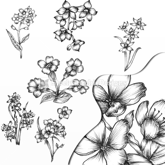 Beautiful Hand Drawn Flower Designs