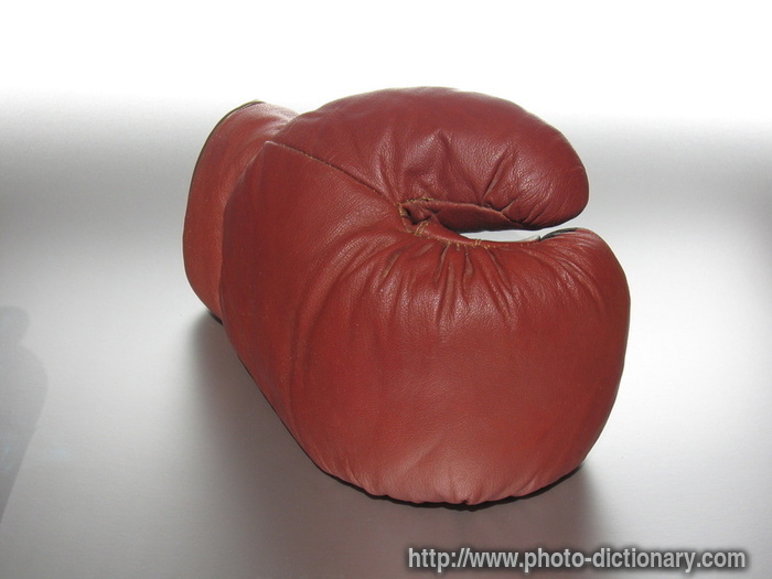 Boxing Gloves Front