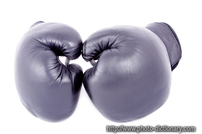 Boxing Gloves