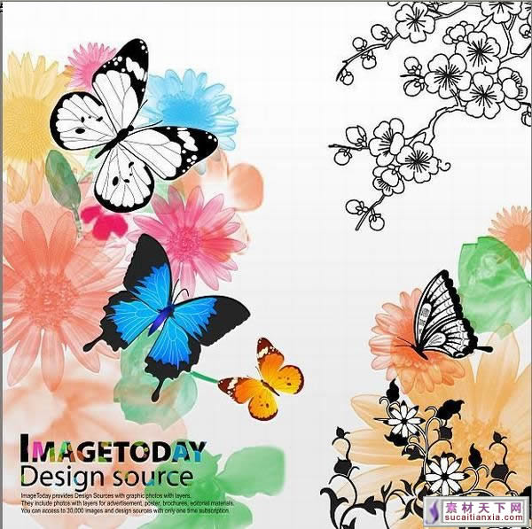 5 Butterfly PSD File Images