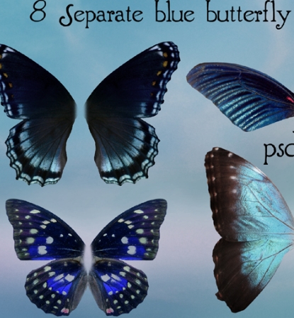 Butterfly Wing PSD