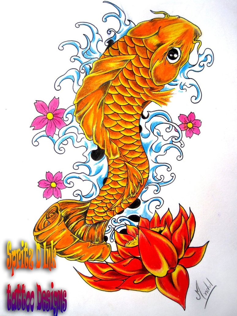 Colorful Koi Fish Drawings