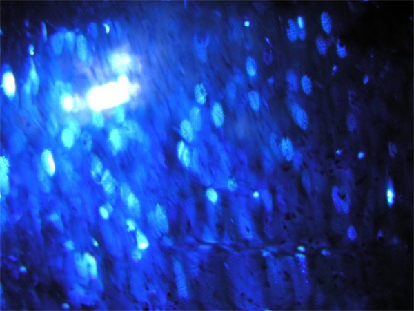 Deep Blue and Gold Background Deep Blue and Gold Background