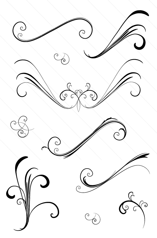 Elegant Swirl Designs Vector