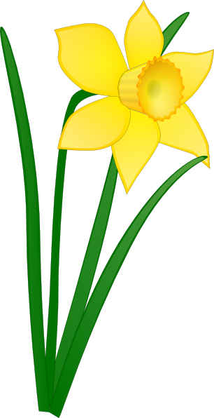 Free Clip Art Daffodils Flower