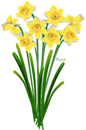 Free Clip Art Daffodils Flower