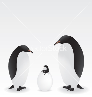 Free Penguin Vector Art