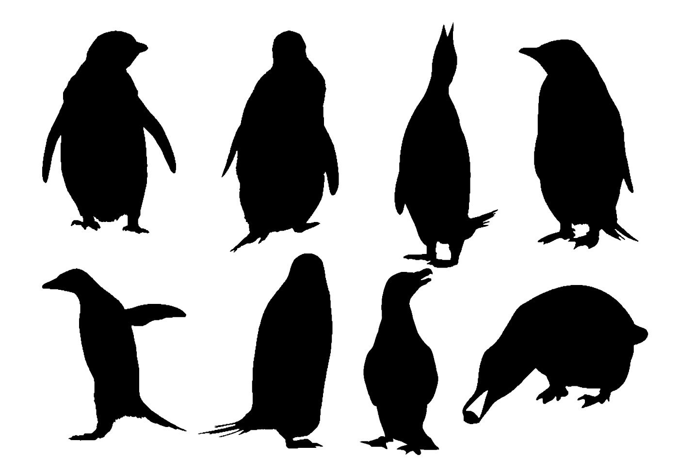 Free Penguin Vector Graphics