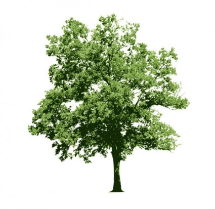 Free Tree Vector Photoshop