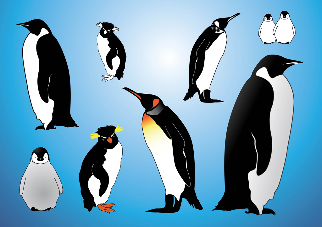 Free Vector Clip Art Penguin