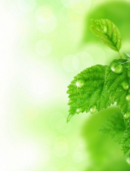 Green Glow 4 Green Glow 4