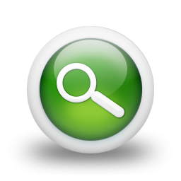 Green Magnifying Glass Icon