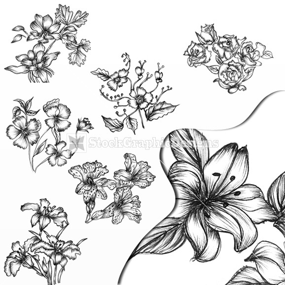 18 Hand Drawn Flowers Designs Images