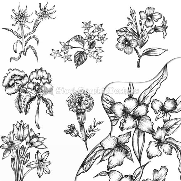 Hand Drawn Flower Designs
