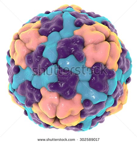 Hepatitis a Virus On White Background