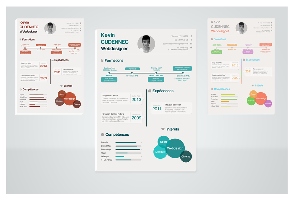 Infographic Resume Templates