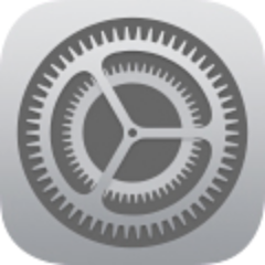 iPad Settings App Icon