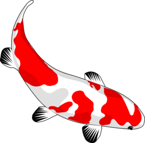 14 Koi Fish Graphics Images