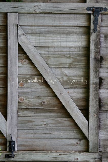 Nature Alphabet Photography Letter N