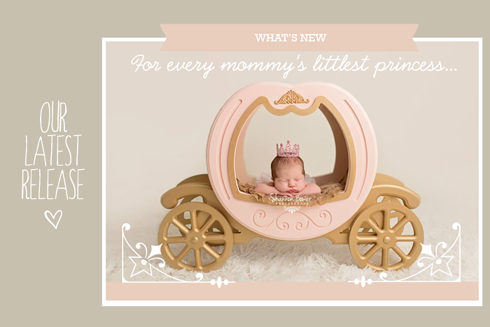 Newborn Photography Props