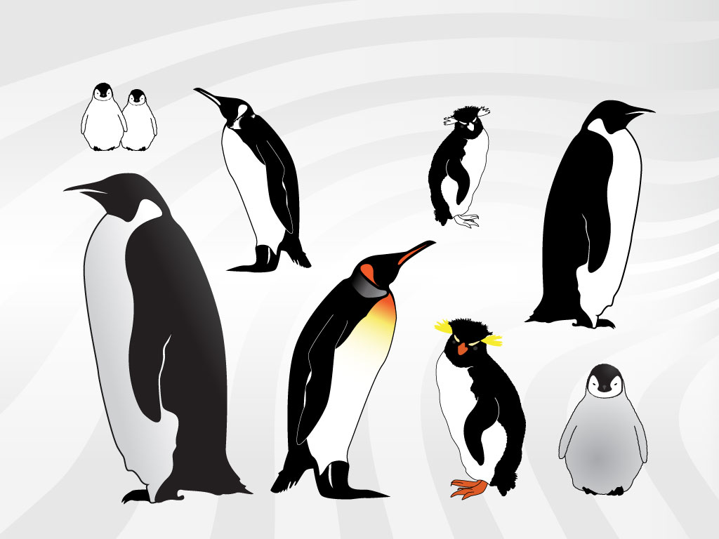 Penguin Clip Art Illustration