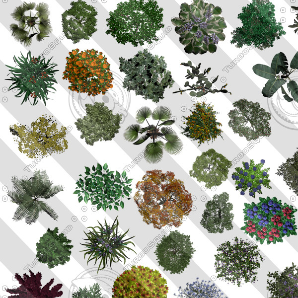 Photoshop Plants Plan Flowers