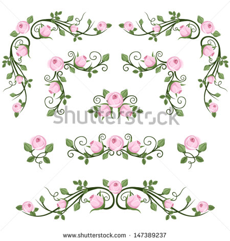 Pink Rose Vector Illustration