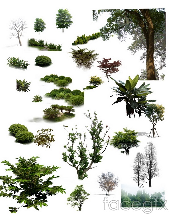 PSD Trees Plants
