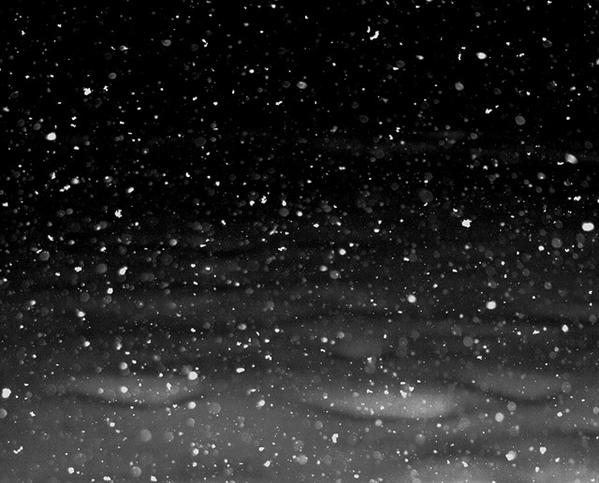 Snowflake Falling Snow