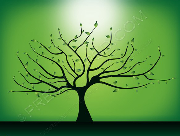 Tree of Life Vector