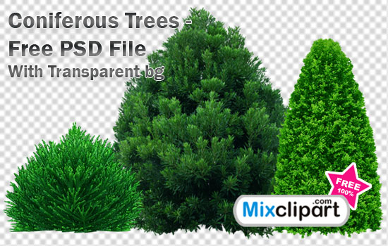 8 PSD Tree Free Download Images