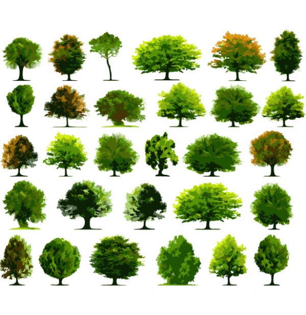 15 Tree Vector PSD Images