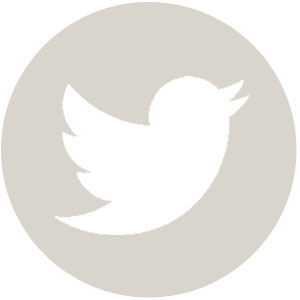 Twitter Bird Logo Circle