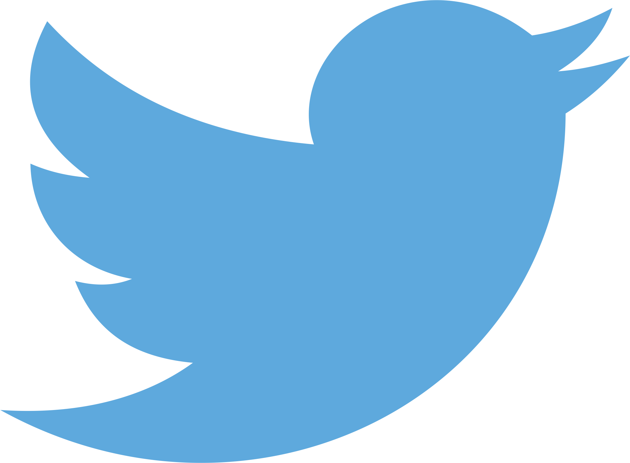 Twitter Logo Vector