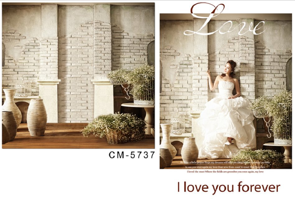 Wedding Photography Backdrops Vinyl