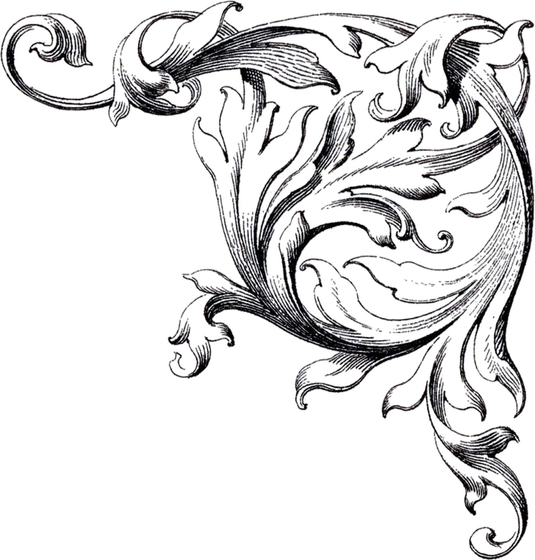 Wedding Scroll Design Clip Art