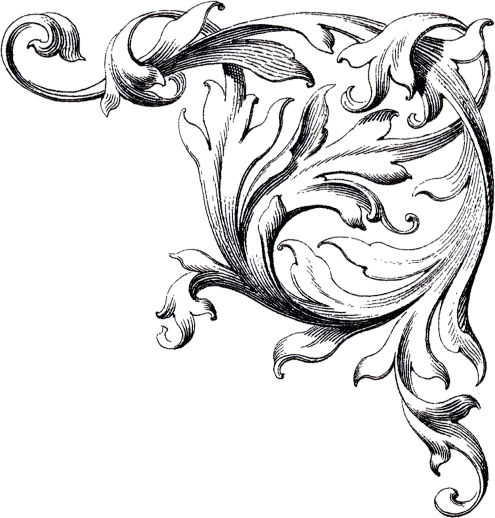 Wedding Scroll Design Clip Art Wedding Scroll Design Clip Art
