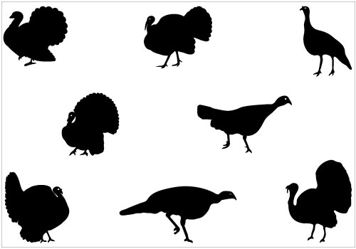 Wild Turkey Silhouette Clip Art