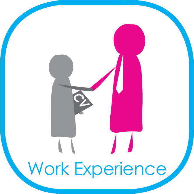 Work Experience Icon