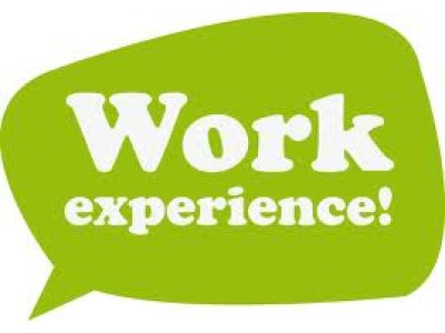 Work Experience Icon