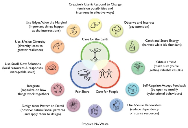 12 Permaculture Principles