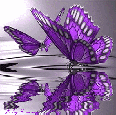 Beautiful Purple Butterfly